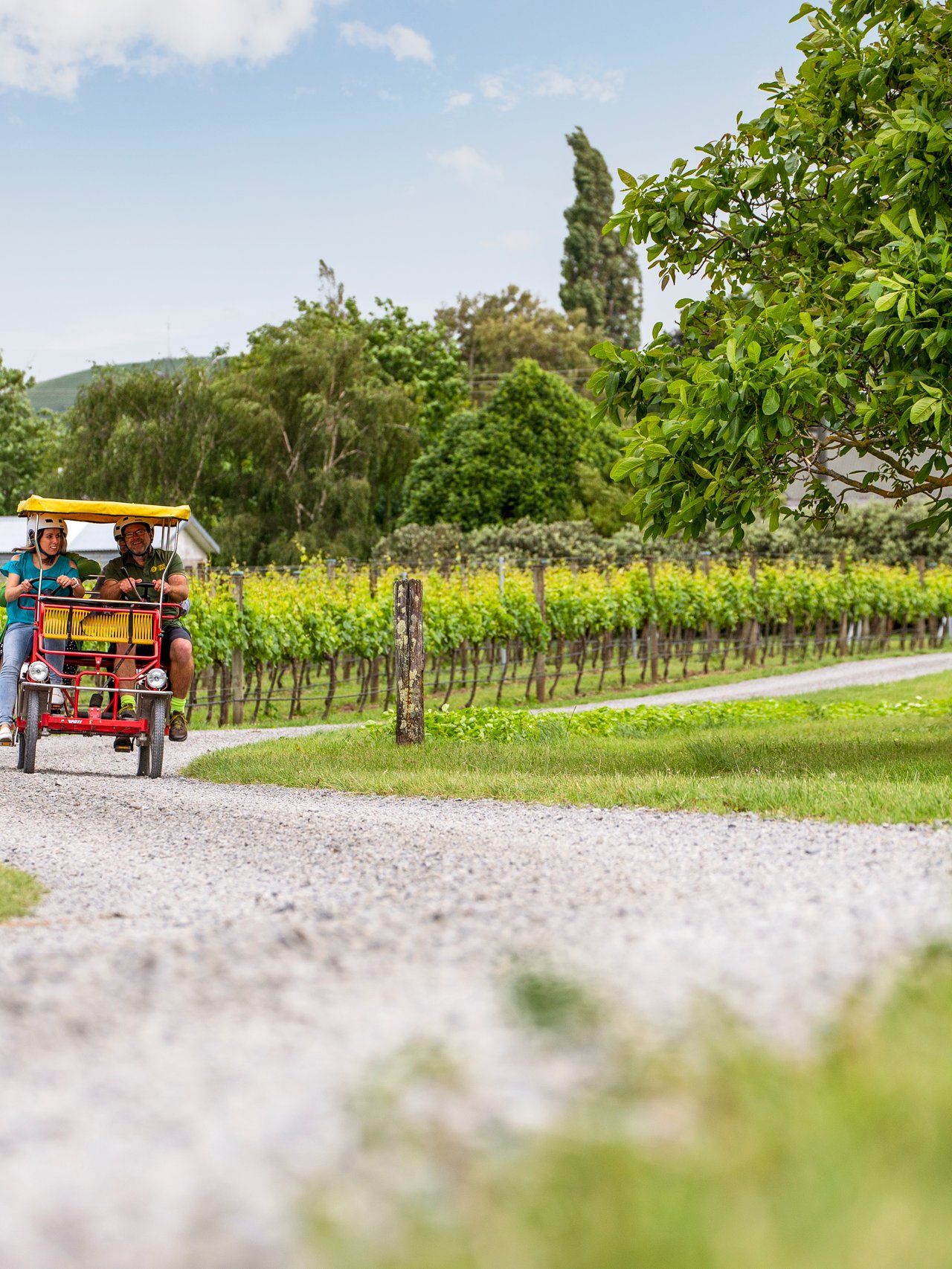 Riding through the vineyards in Martinborough, New Zealand
