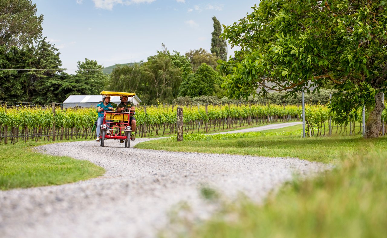Riding through the vineyards in Martinborough, New Zealand
