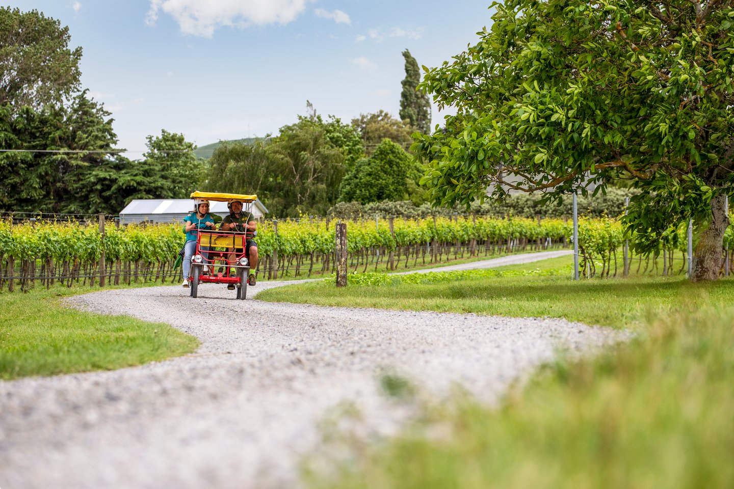 Riding through the vineyards in Martinborough, New Zealand