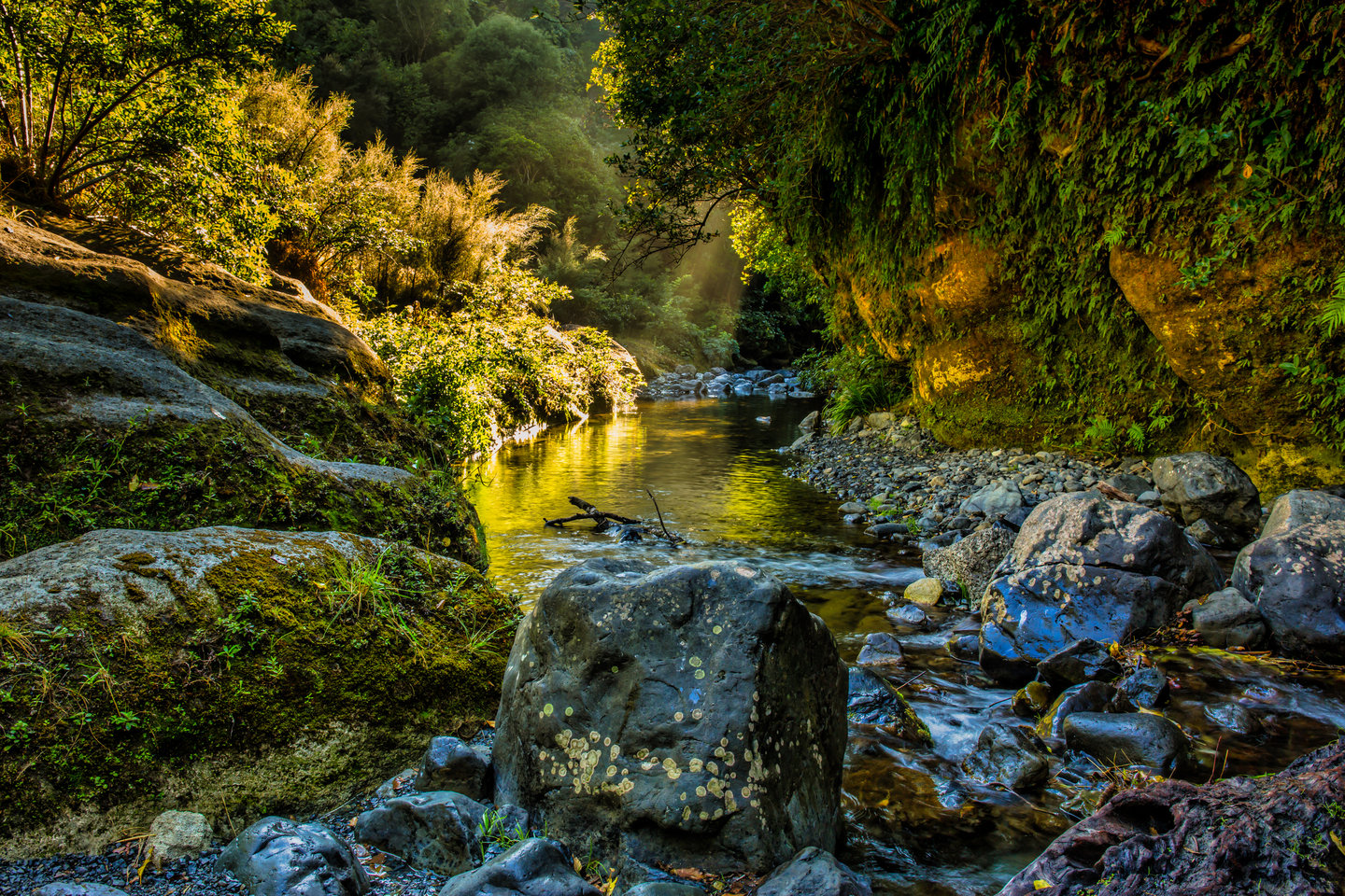 The entrance of Patuna Chasm near Martinborough, New Zealand
