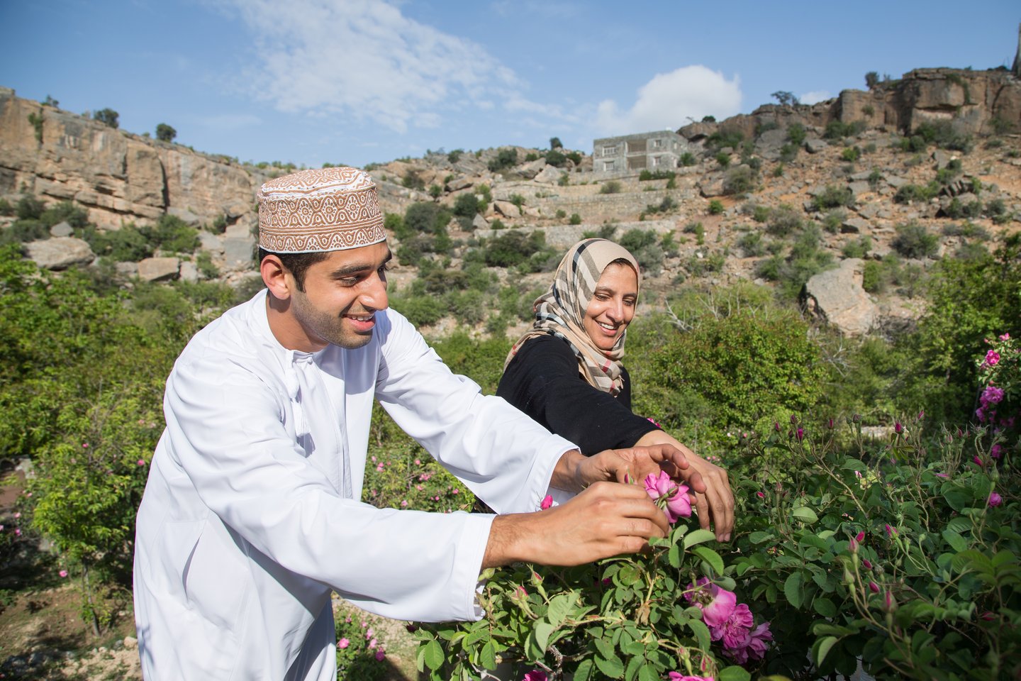 A man and woman picking roses in Jebel Akhdar, Oman