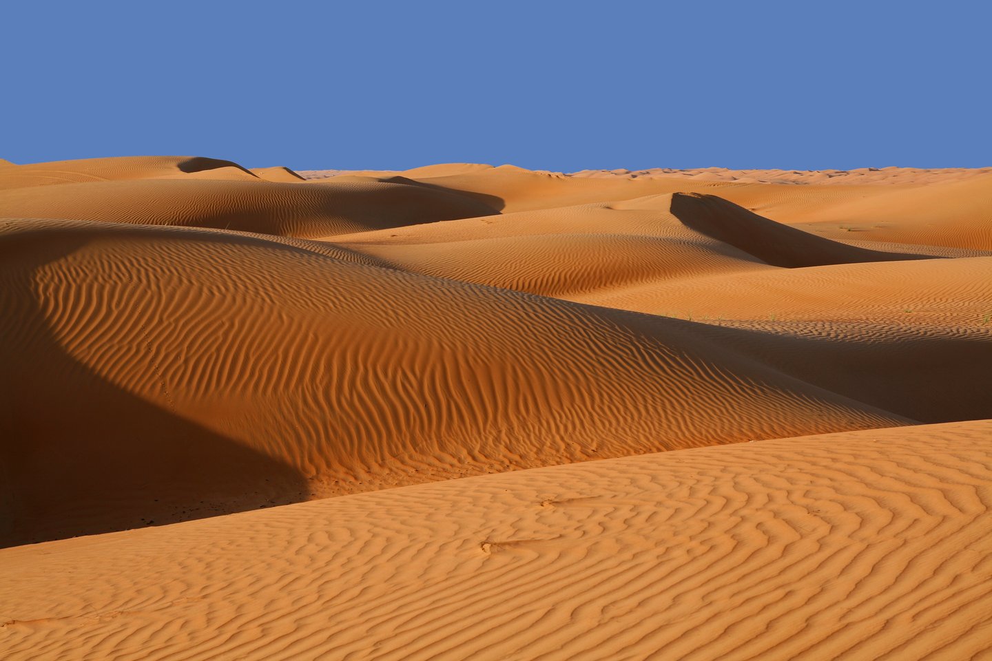 Dramatic dunes in Wahiba Sands, Oman