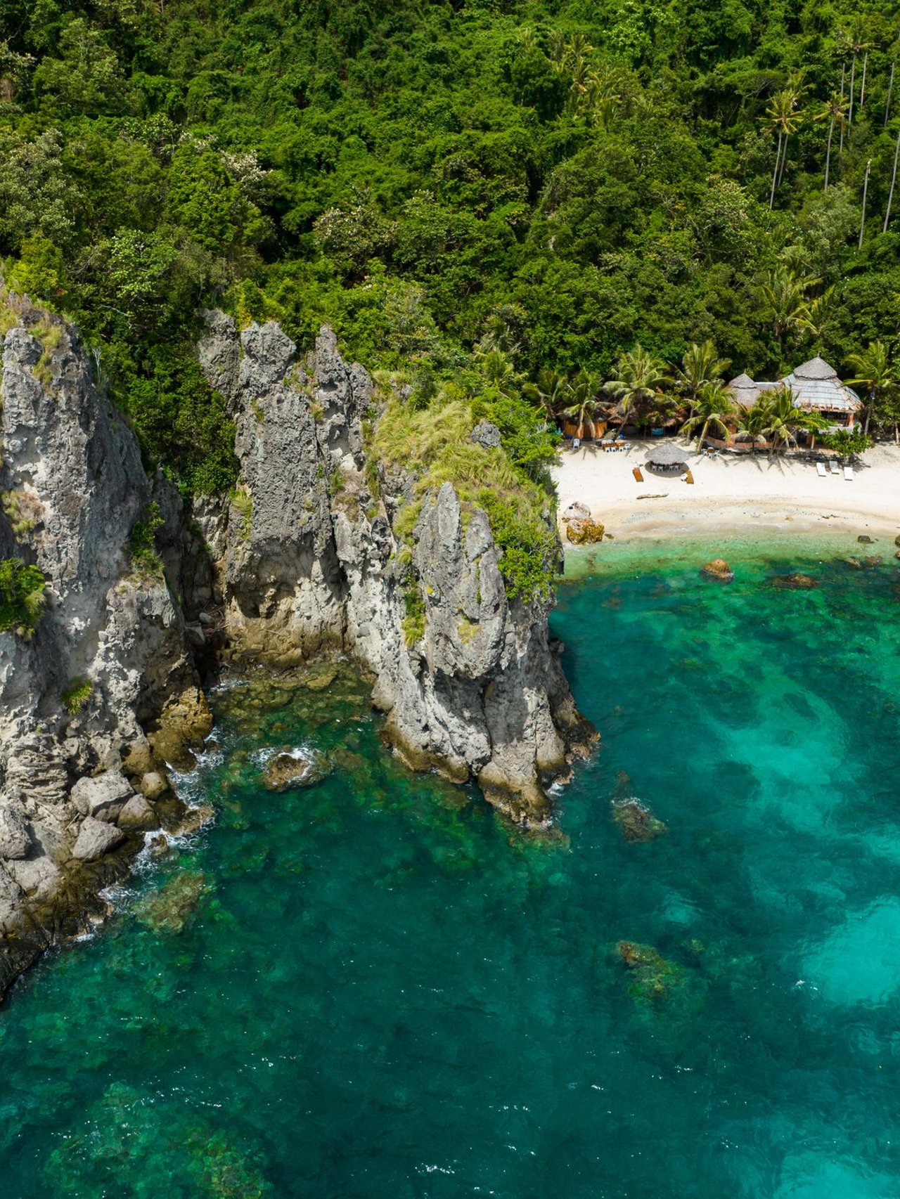 The rugged coastline of Apo Island in the Philippines