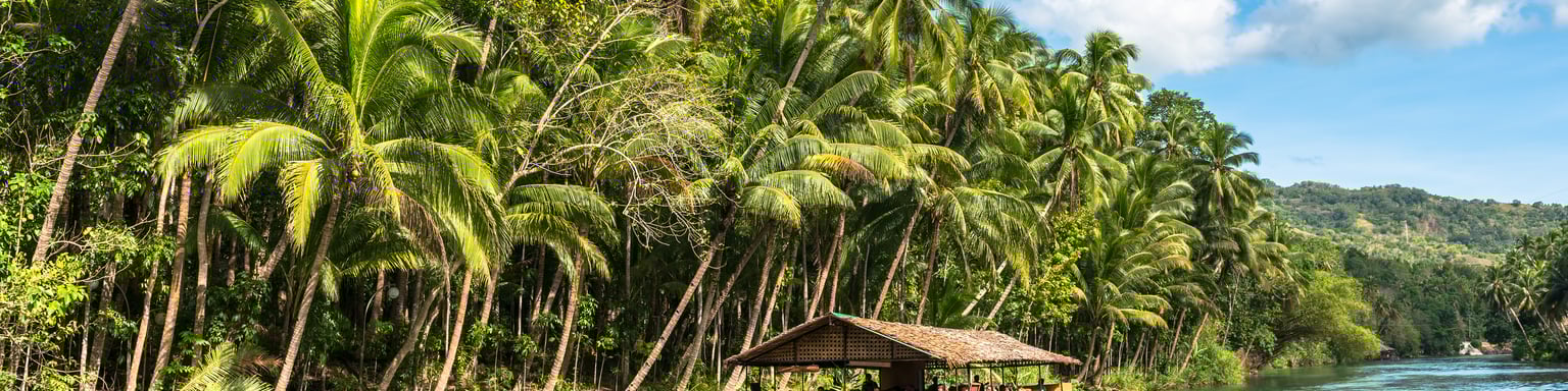 A cruise on a traditional raft boat for tourists at Bohol island
