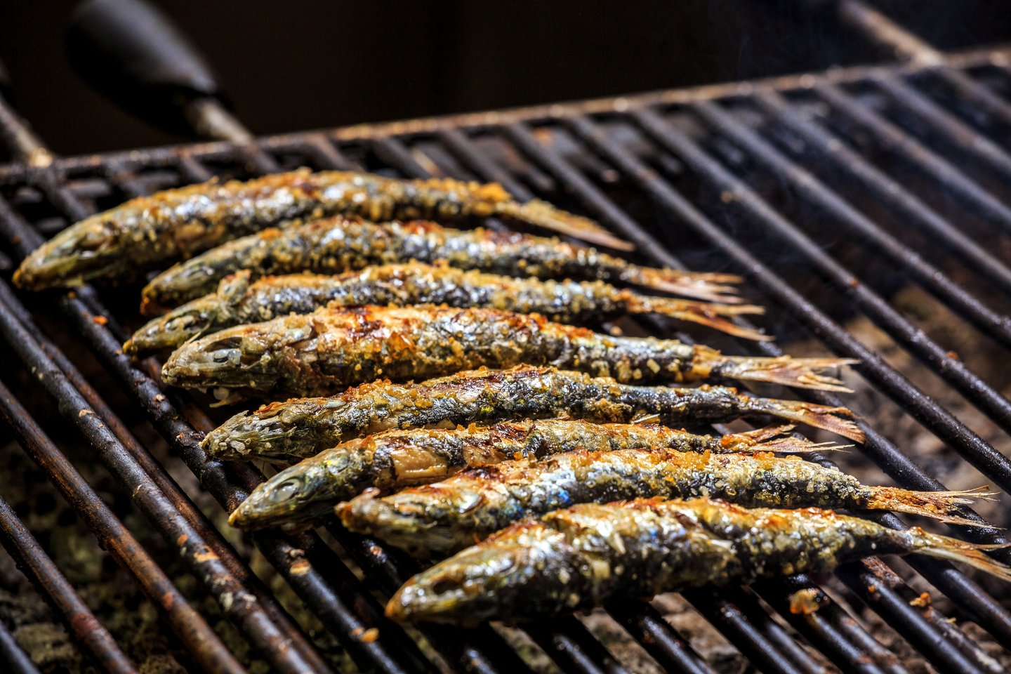 Sardines on the grill in Portugal