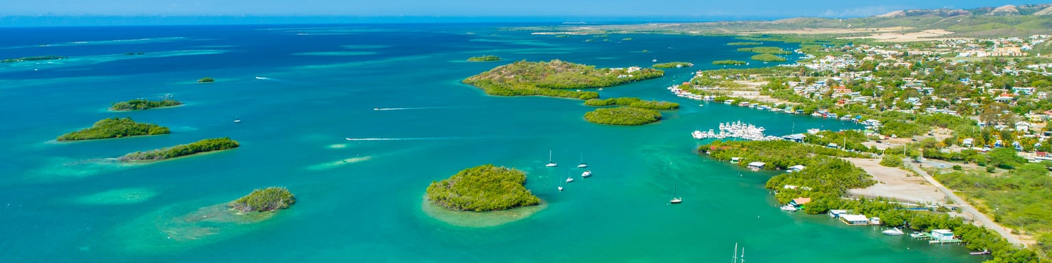 An aerial view of the coastline of Puerto Rico and the Carribean Sea.