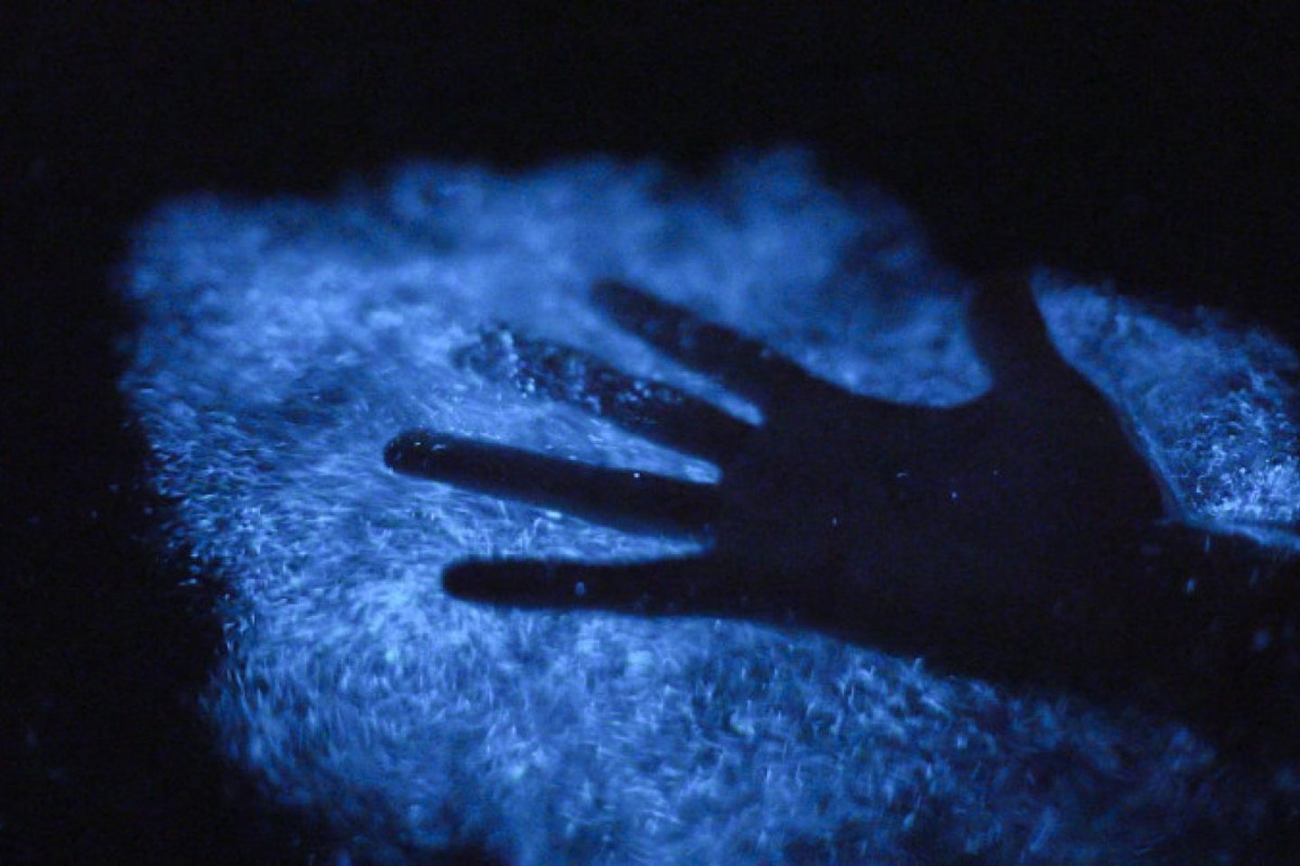 Running a hand through bioluminescent water