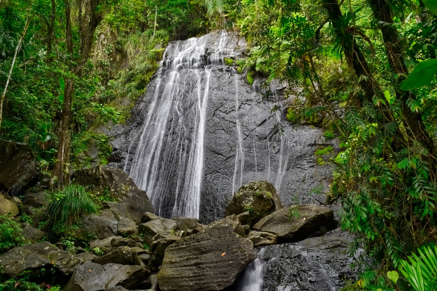 La Coca waterfall surrounded by foliage in Puerto Rico