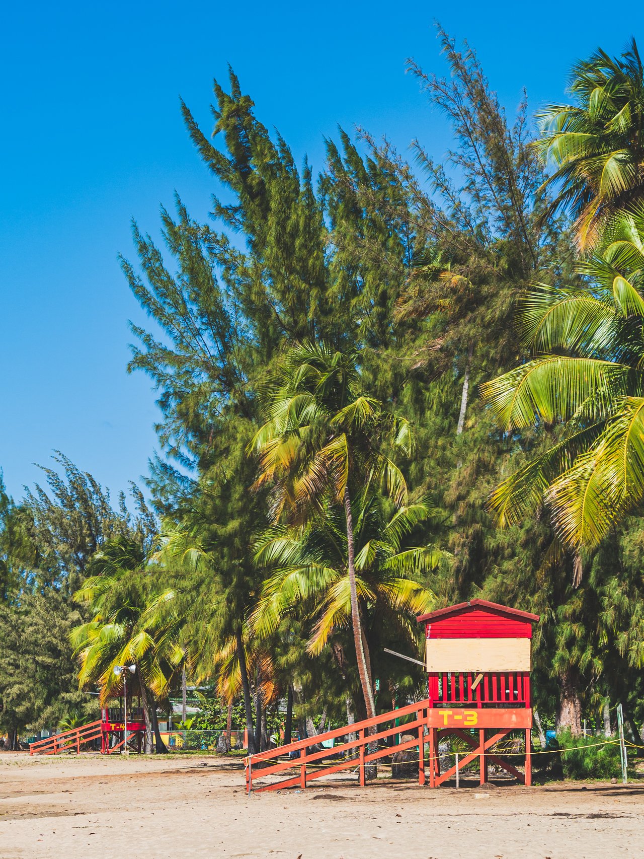 A red lifeguard hut and huge palm trees at Luquillo Beach, Puerto Rico