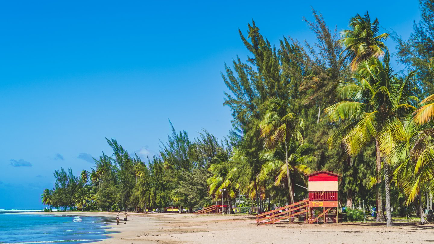 A red lifeguard hut and huge palm trees at Luquillo Beach, Puerto Rico
