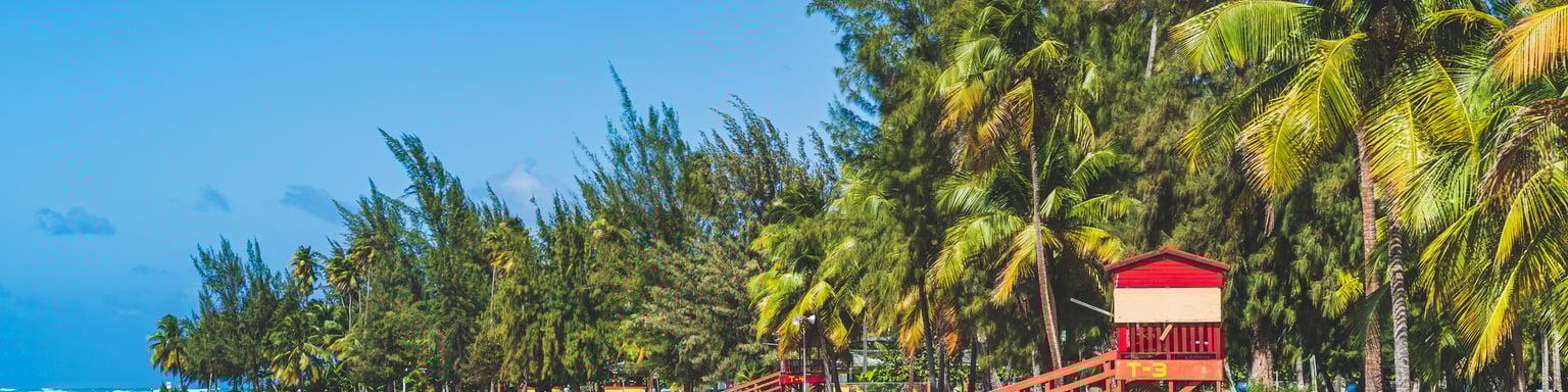 A red lifeguard hut and huge palm trees at Luquillo Beach, Puerto Rico
