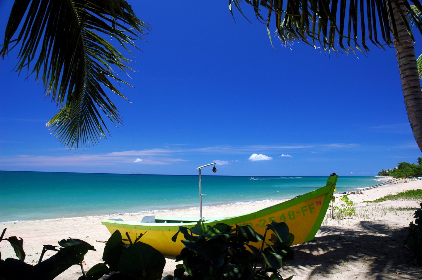 A yellow boat on a beach in Puerto Rico on a sunny day