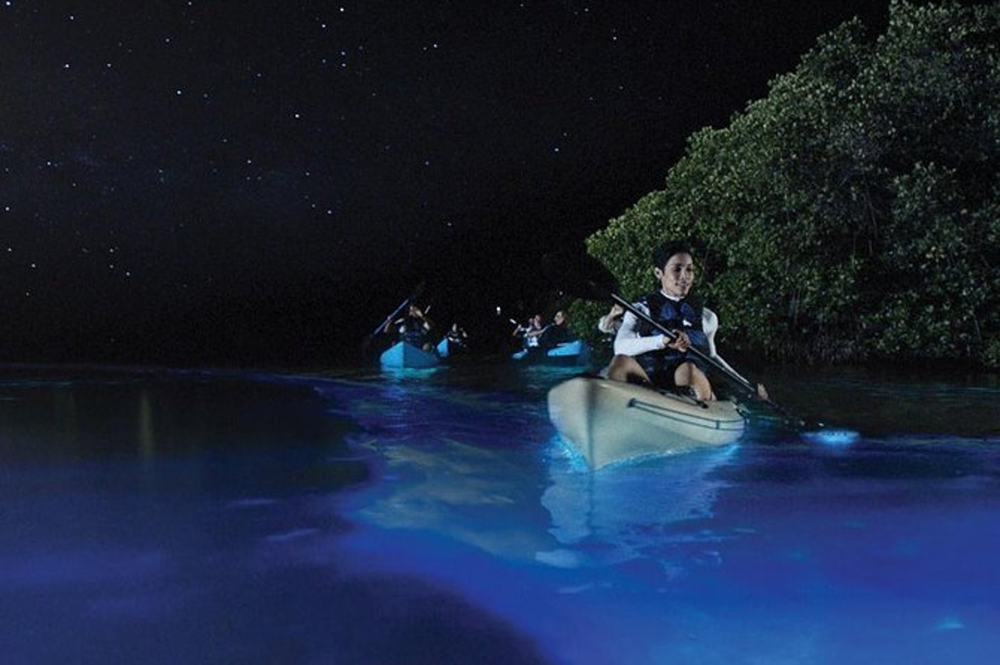 Kayaking in Mosquito Bay