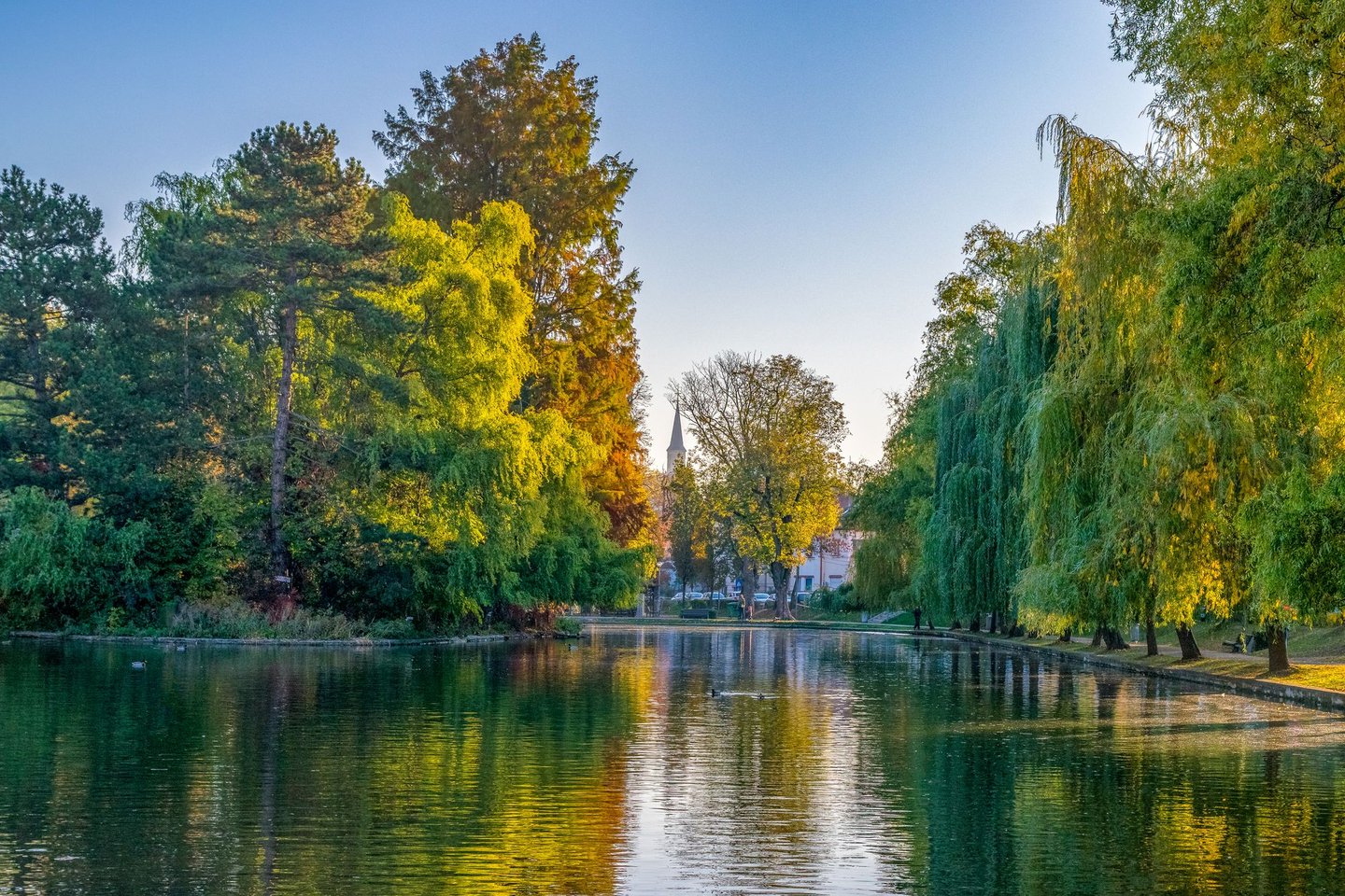 Chios Lake in the Cluj-Napoca Central Park