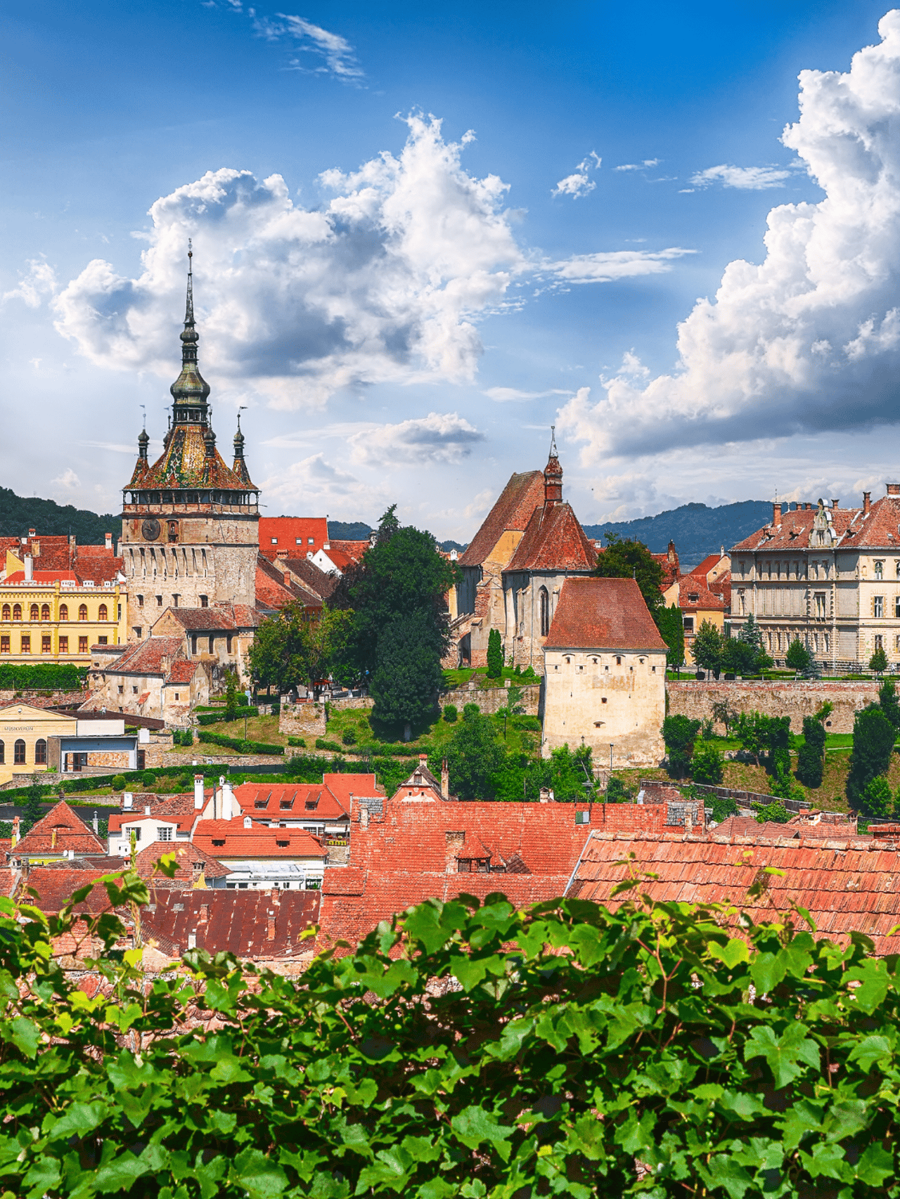 Panoramic view of Sighisoara