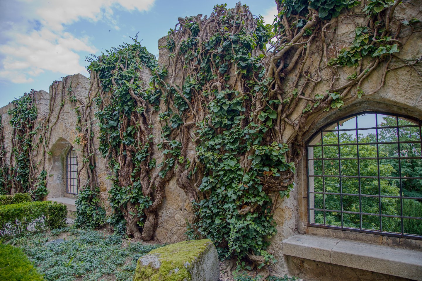 Trees growing over the walls at Bojnice Castle, Slovakia