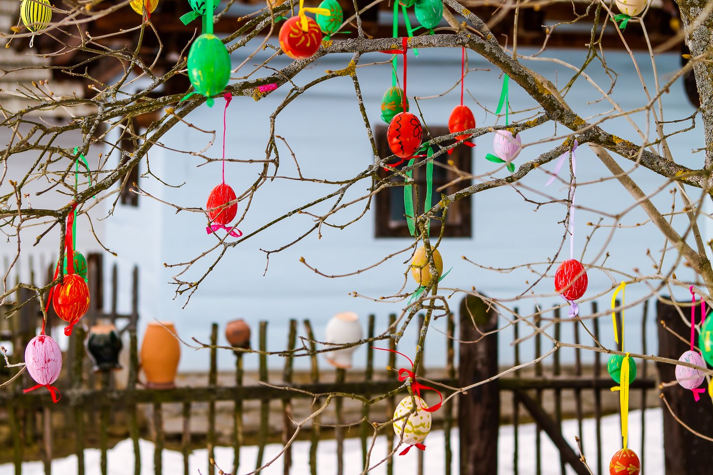 Painted eggs hanging on a tree outside a house in a village in Slovakia