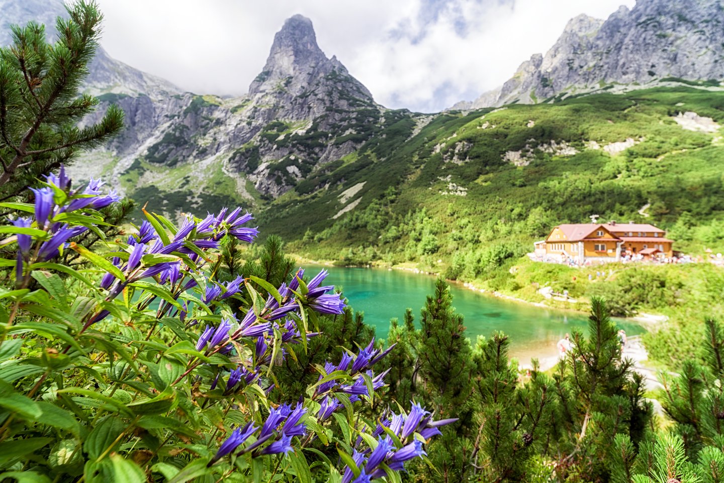 Spring flowers and a mountain cottage at the Green Lake in Slovakia