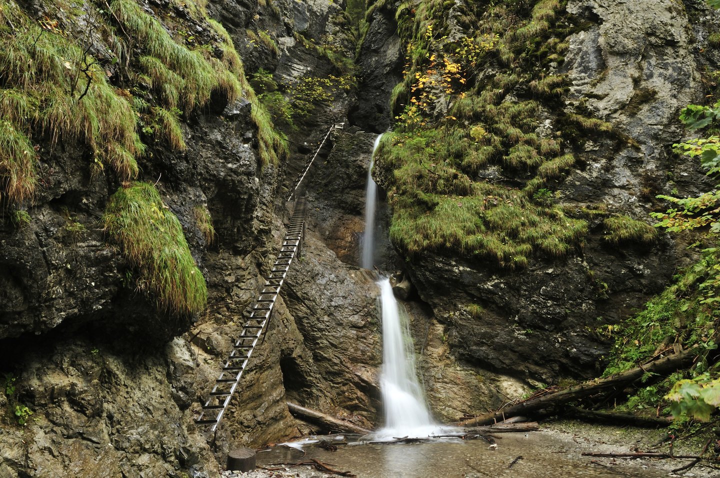 A ladder next to a waterfall on the Sucha Bela Gorge trail in Slovak Paradise National Park, Slovakia