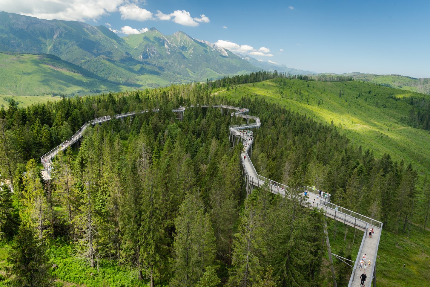 The boardwalk of the Treetop Walk Bachledka with mountains in the background