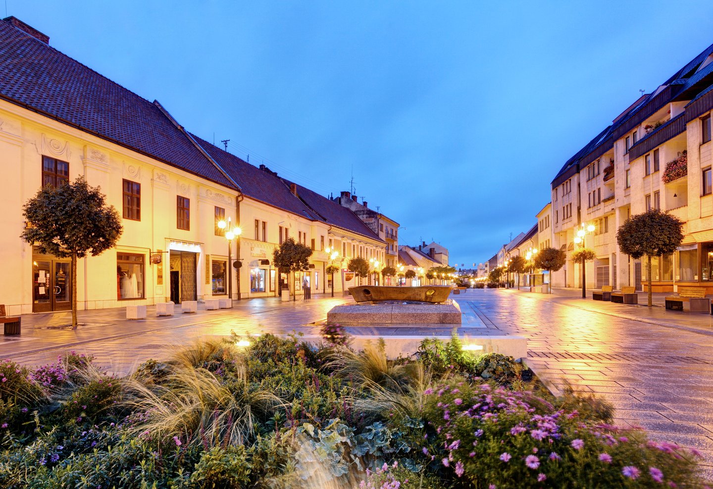 Flowers on the street of the town on Trnava at night