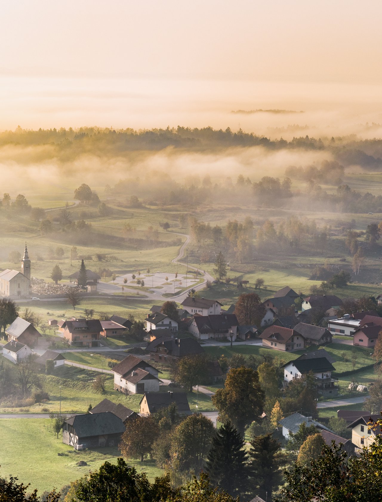 A misty morning in Bela Krajina
