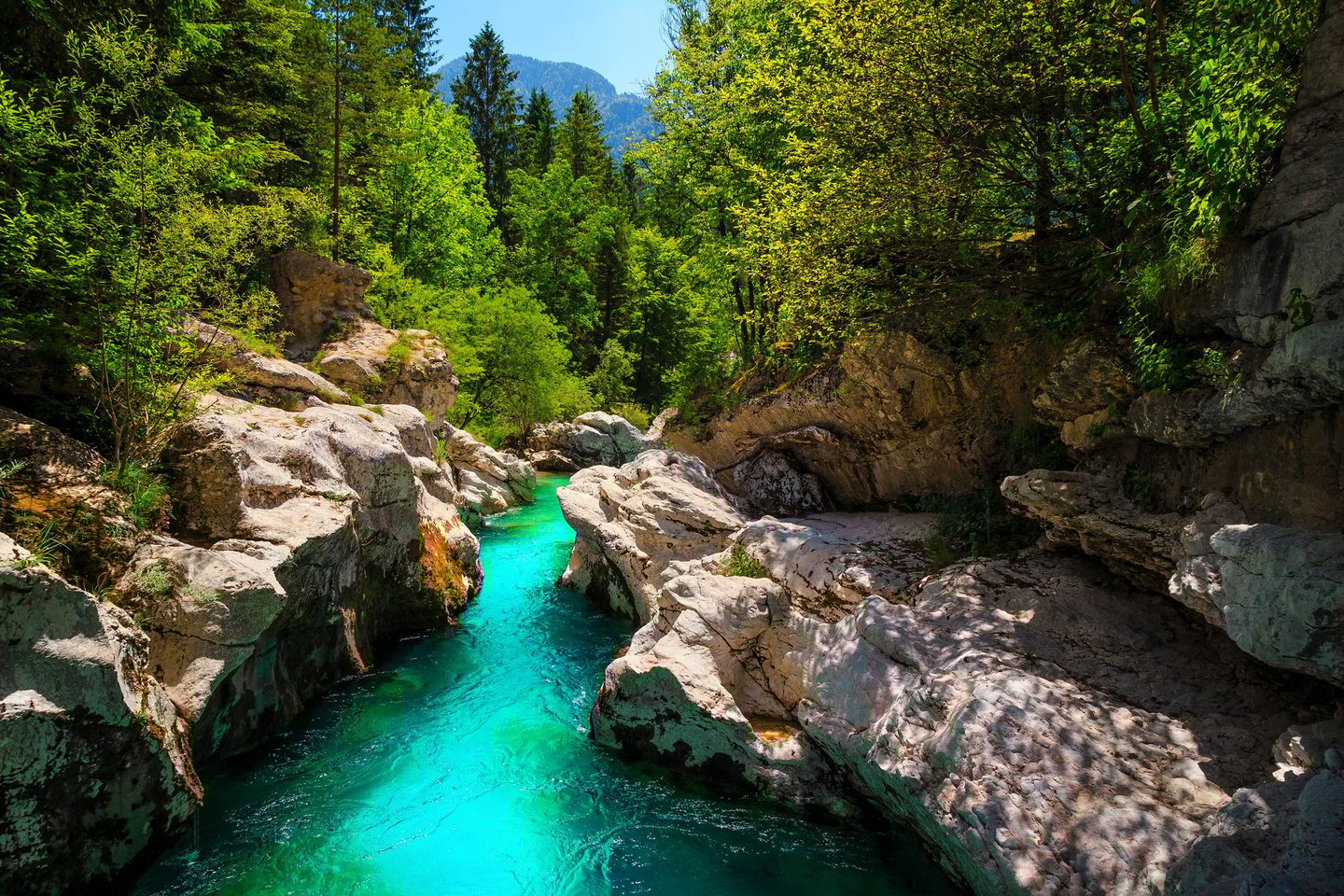 A canyon with huge rocks along the turquoise Soca River