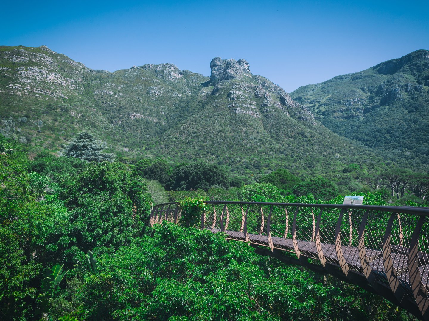 Elevated wooden walkway with a view in Kirstenbosch botanical garden, Cape Town
