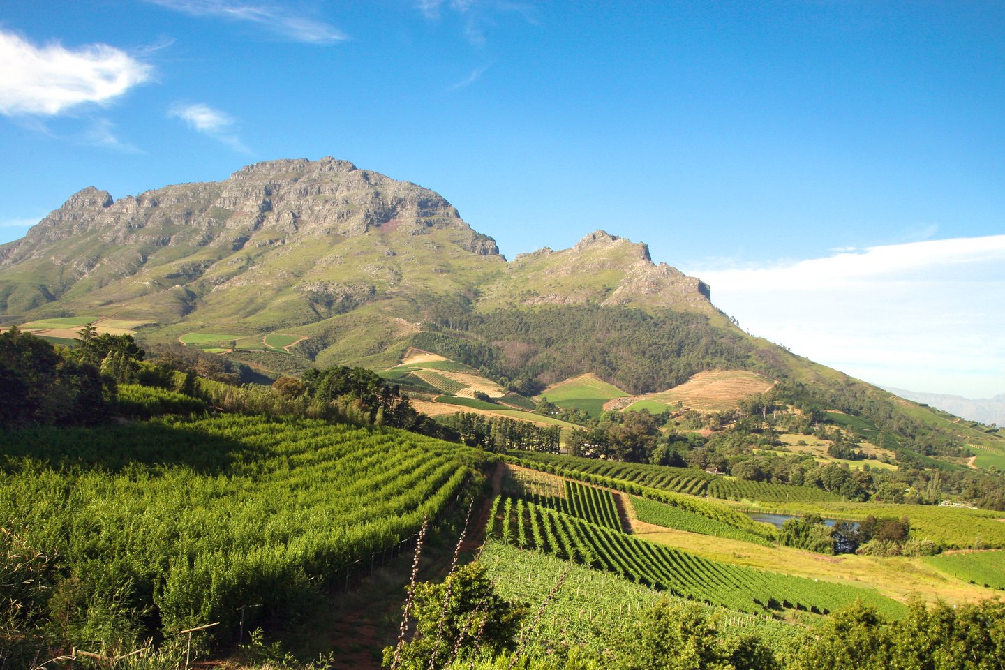 The mountains and vineyards of South Africa's Cape Winelands