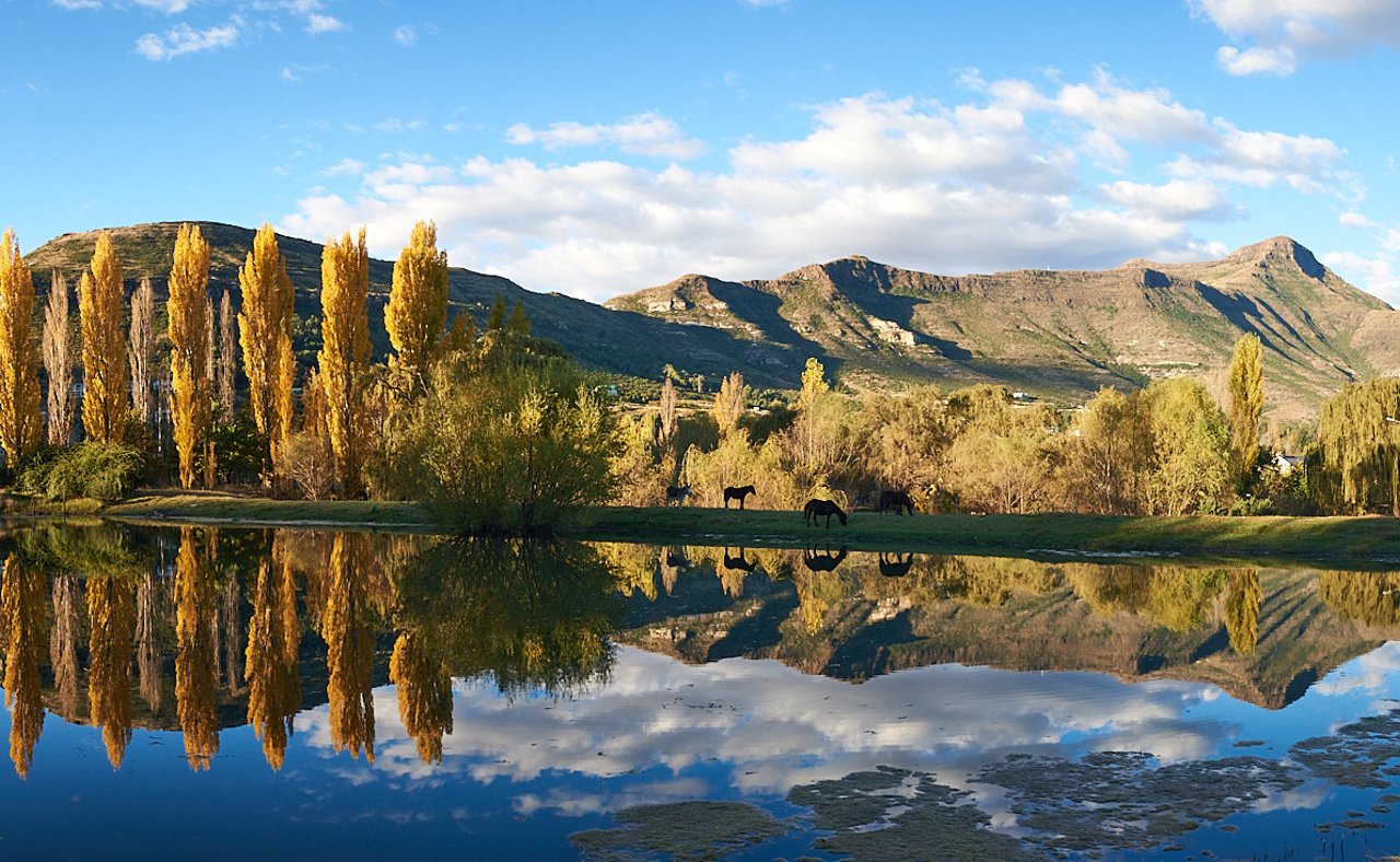 Mountains and trees reflected in a lake in Clarens