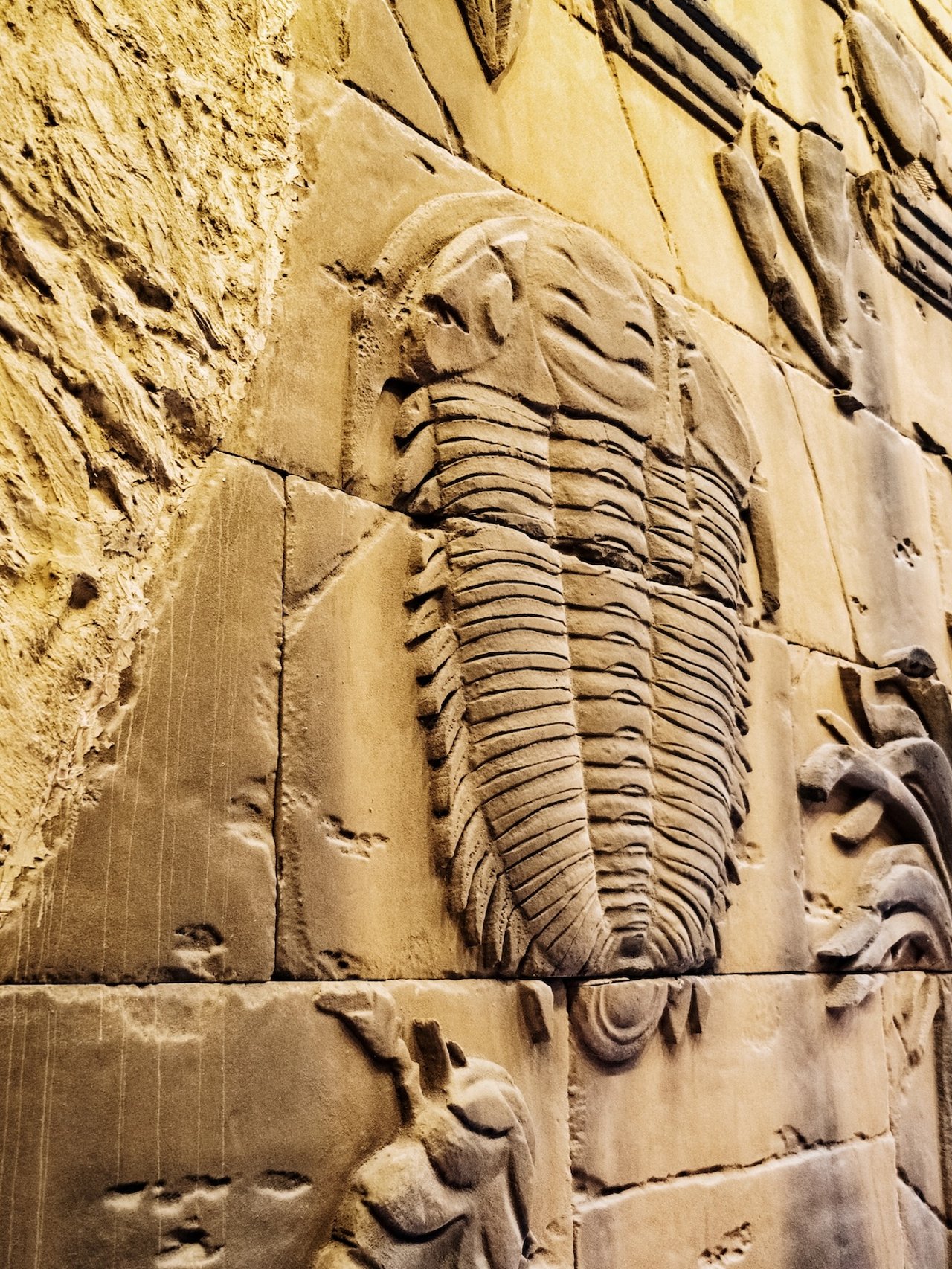 Replica fossils on the walls of the museum at the Cradle of Humankind in South Africa