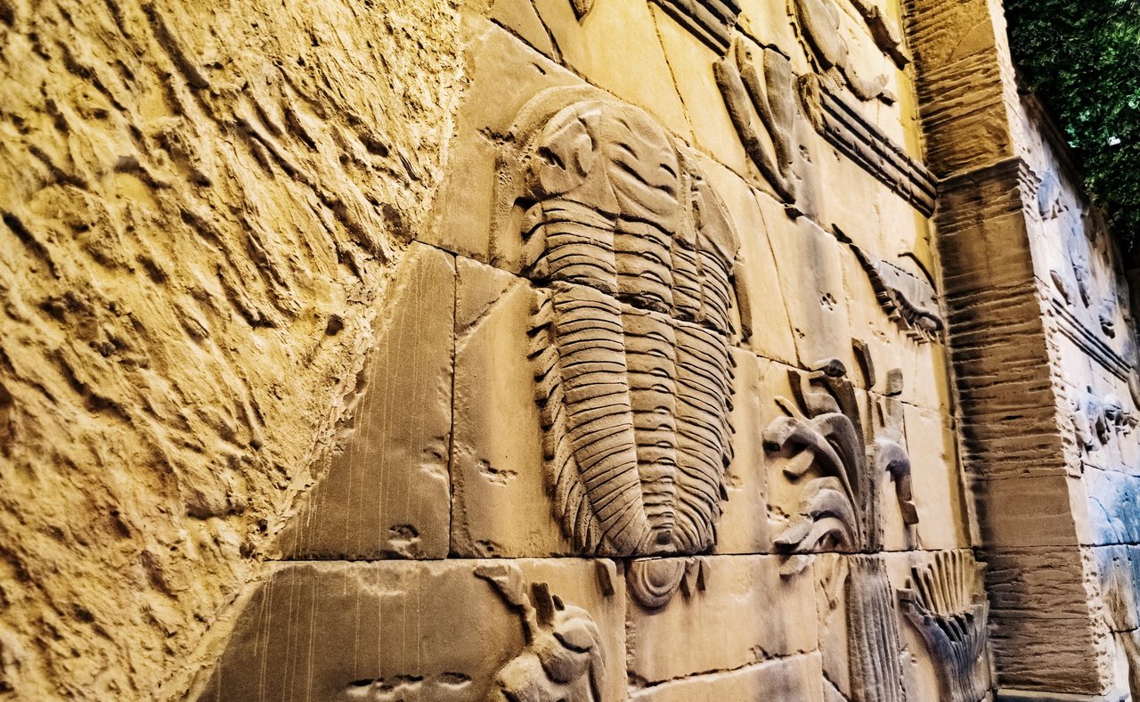 Replica fossils on the walls of the museum at the Cradle of Humankind in South Africa