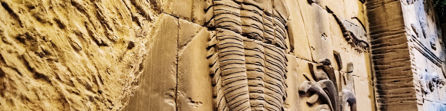 Replica fossils on the walls of the museum at the Cradle of Humankind in South Africa