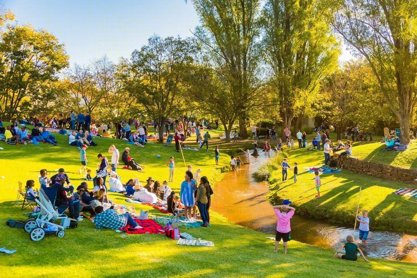 People in the park on a summer's day in Johannesburg.