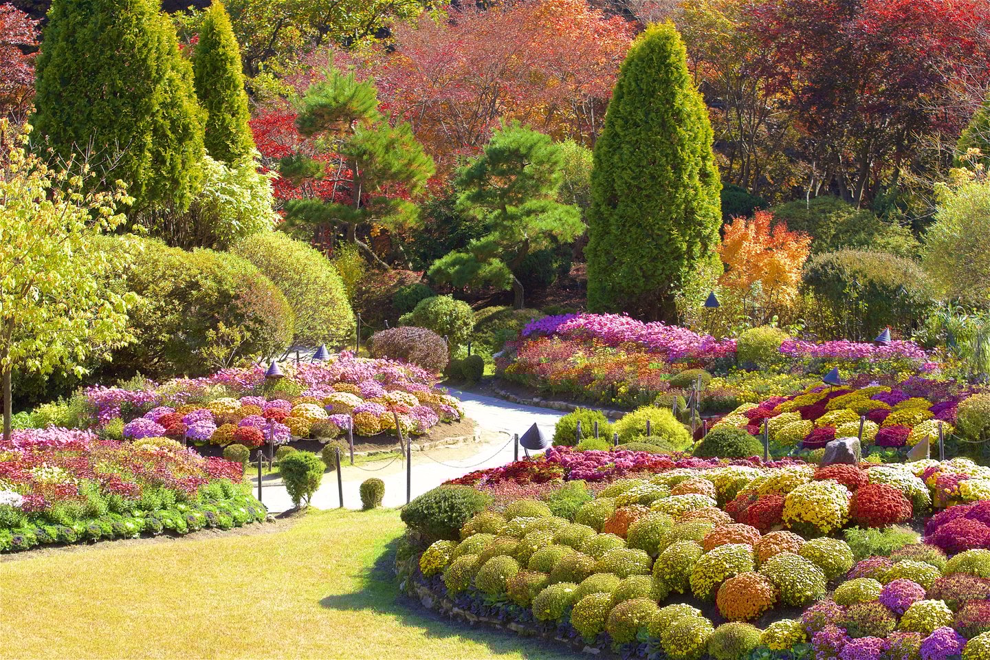 Colourful flowering gardens in the Garden of Morning Calm, South Korea.