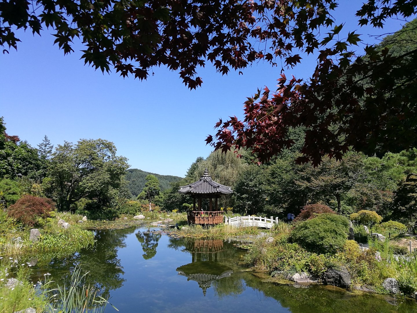 A pavilion reflected in a pond in the Garden of Morning Calm, South Korea.