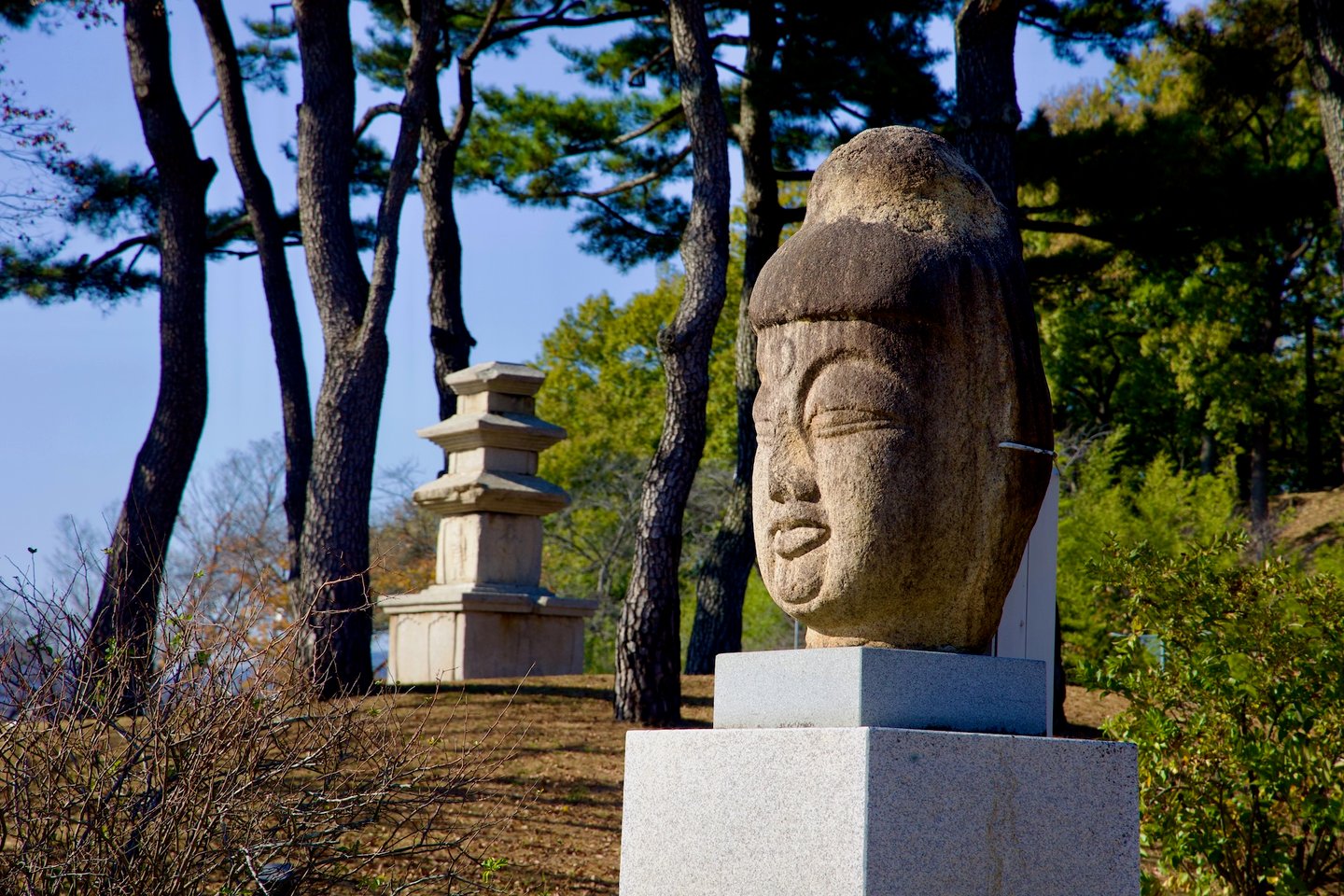A serene stone Buddha head is displayed near a traditional stone pagoda at Gyeongju National Museum