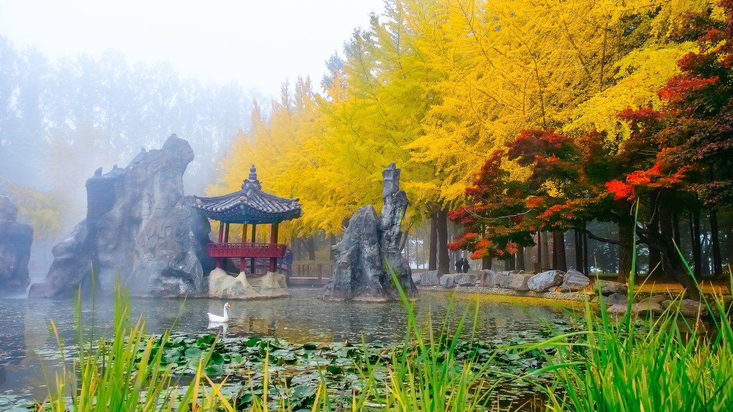 A pavilion in a pond surrounded with autumn foliage on Nami Island, South Korea.