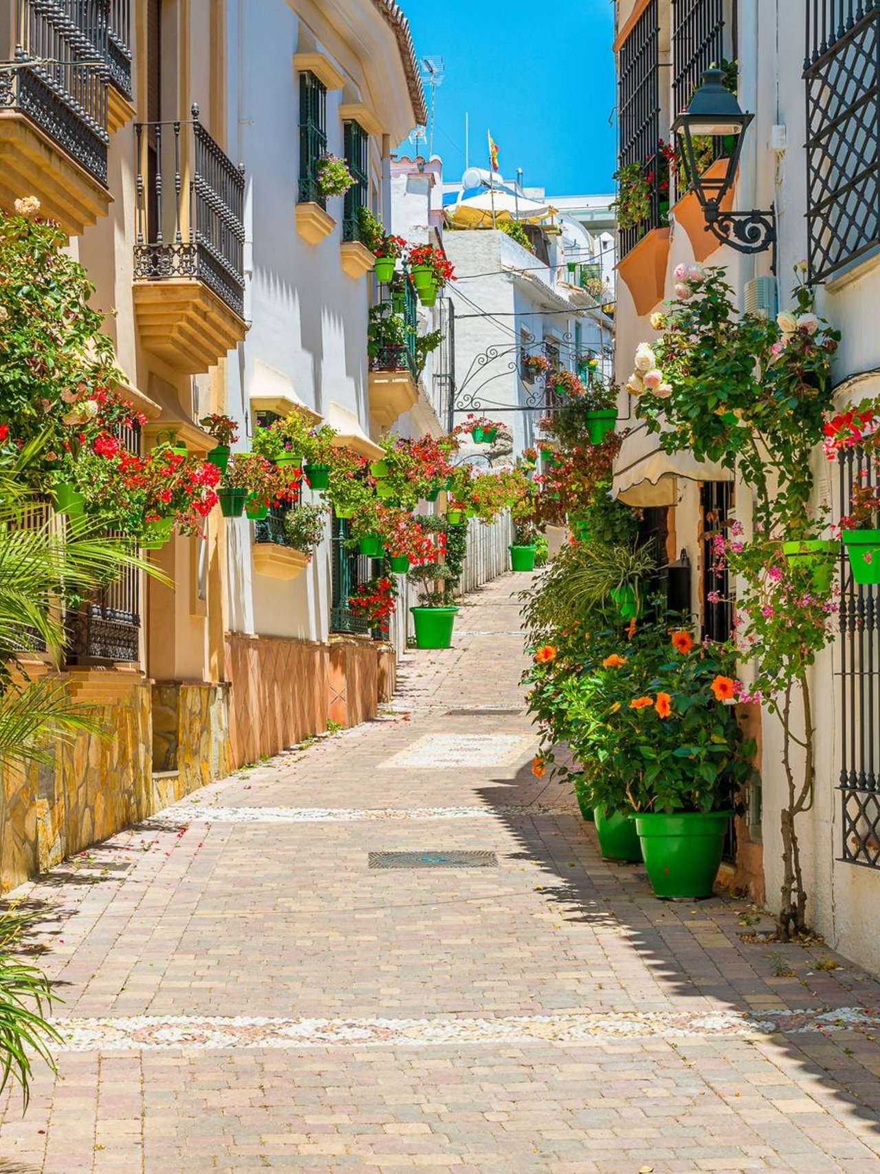 Colourful flowers in pots in Estepona's Old Town