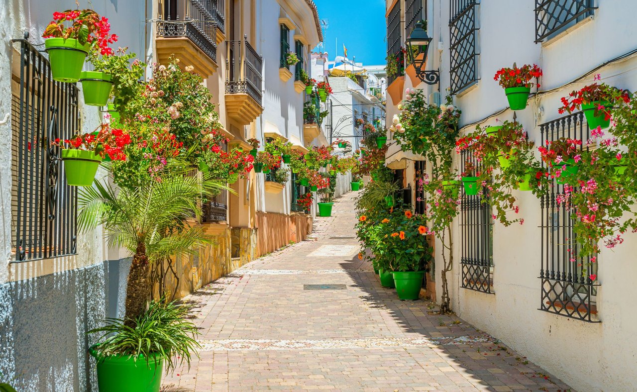 Colourful flowers in pots in Estepona's Old Town