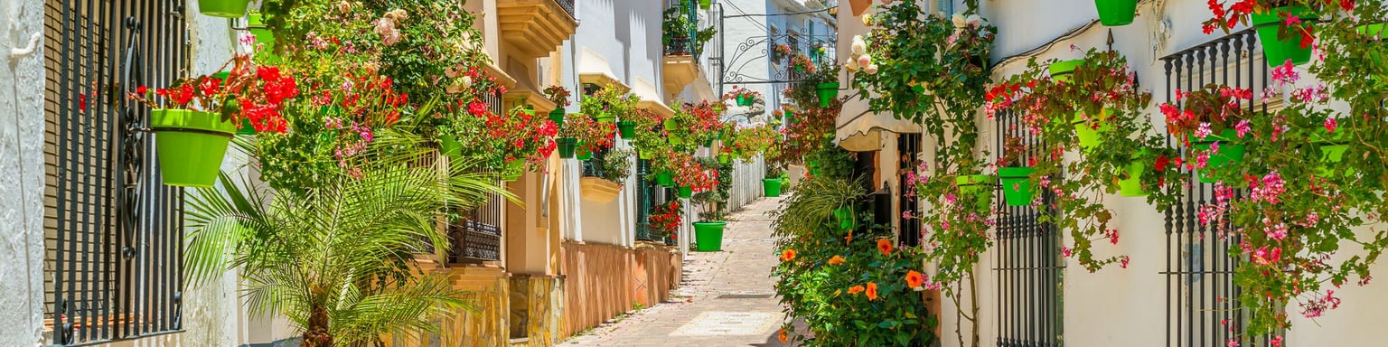 Colourful flowers in pots in Estepona's Old Town