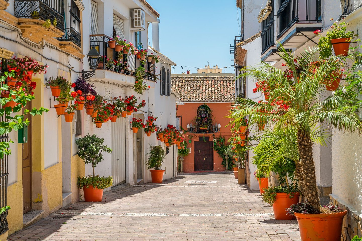 Flowers in red pots in Estepona's old town