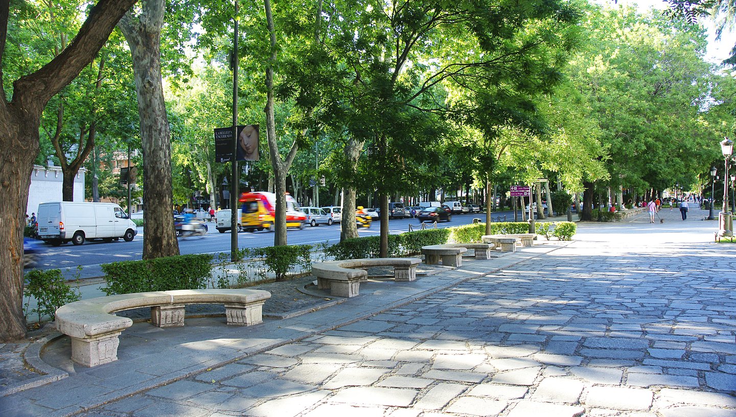 Benches on the tree-lined Paseo del Prado in Madrid, Spain