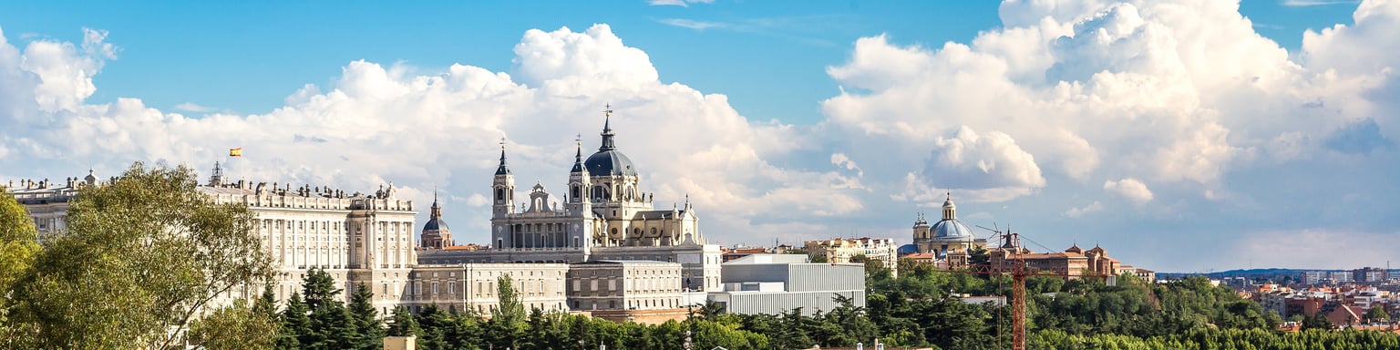 The Madrid skyline visible between trees