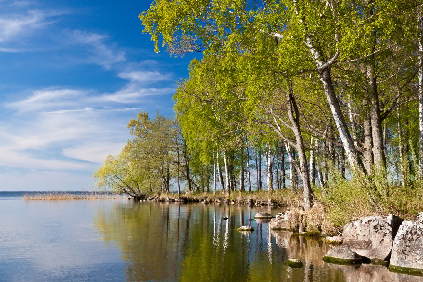 Reflections of trees, clouds and stones in Lake Hjalmaren, Sweden