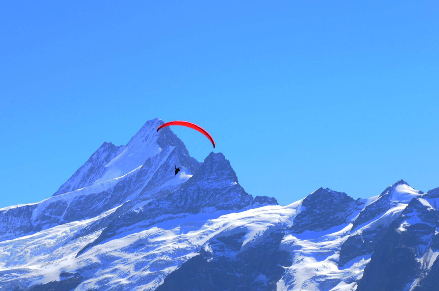 Paragliding at Schreckhorn mountain peak near Grindelwald