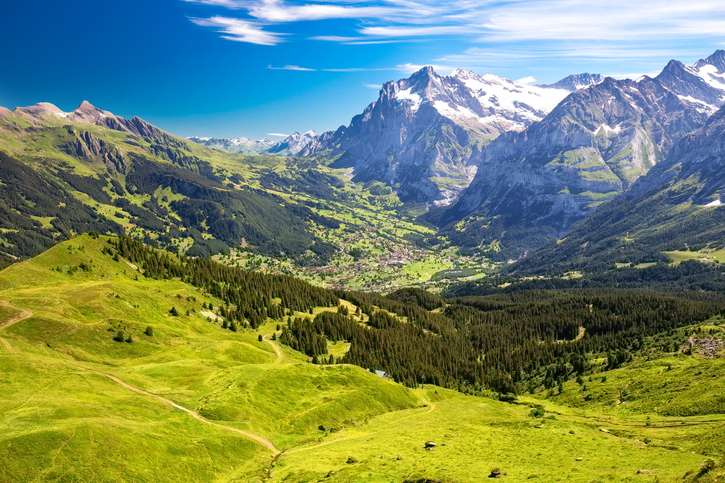 The panoramic view of Grindelwald from Mannlichen in Switzerland on a sunny day