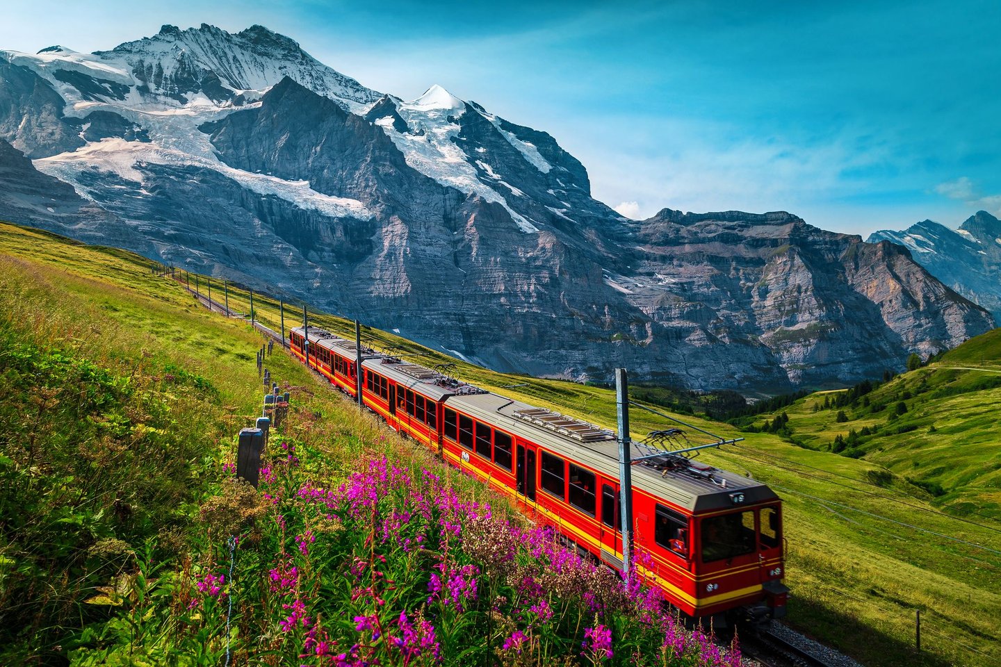 A tourist train in Switzerland in spring with the Jungfrau mountains in the background