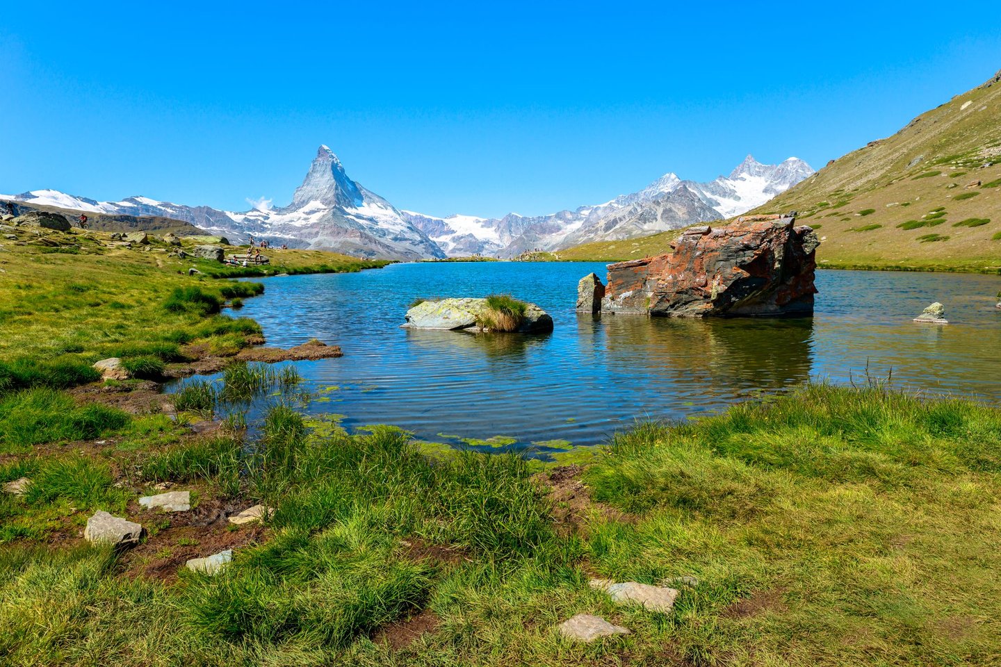 The greenery surrounding Stellisee Lake in Switzerland