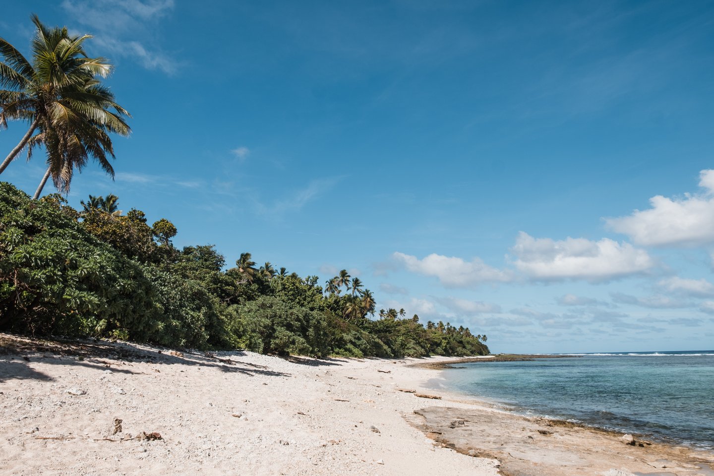 Empty beach in Tonga with white sand and palm trees